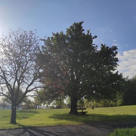 Ferienwohnung Kirchberg Uettingen Esterno foto